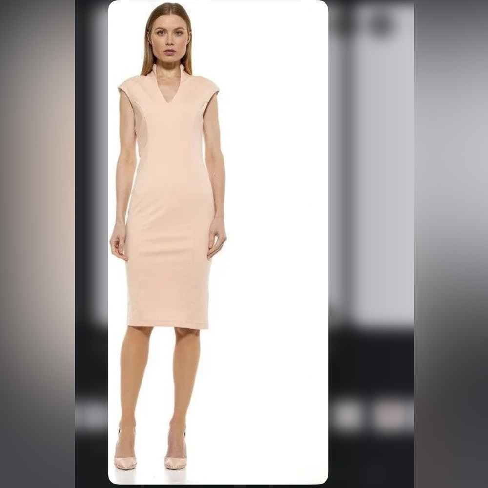 Alexia Admor Katrina Dress